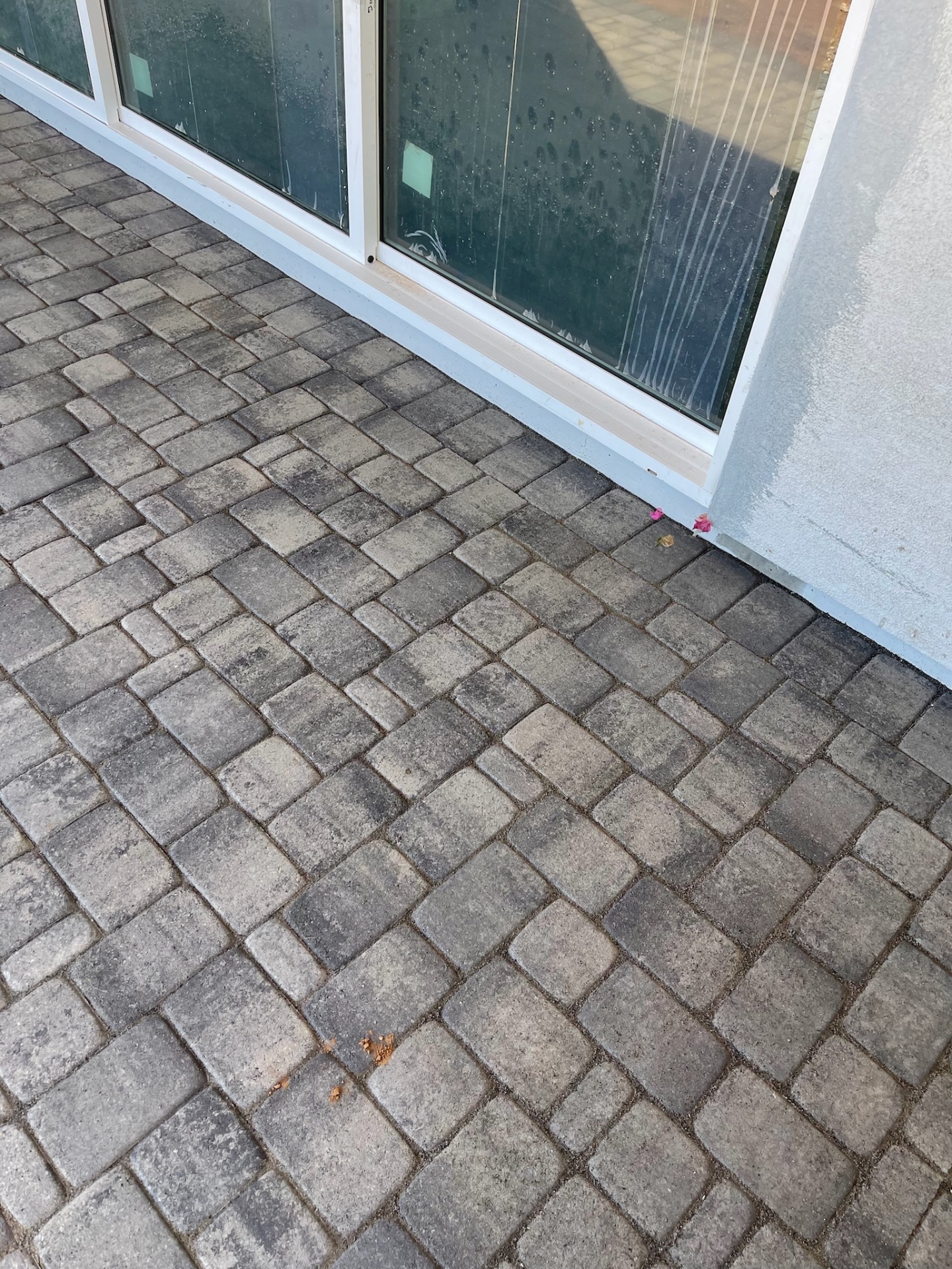 Waddell (Surprise-area) close-up of tumbled grey paver field showing tight joints and running-bond pattern at the sliding door threshold by AE Outdoor Living