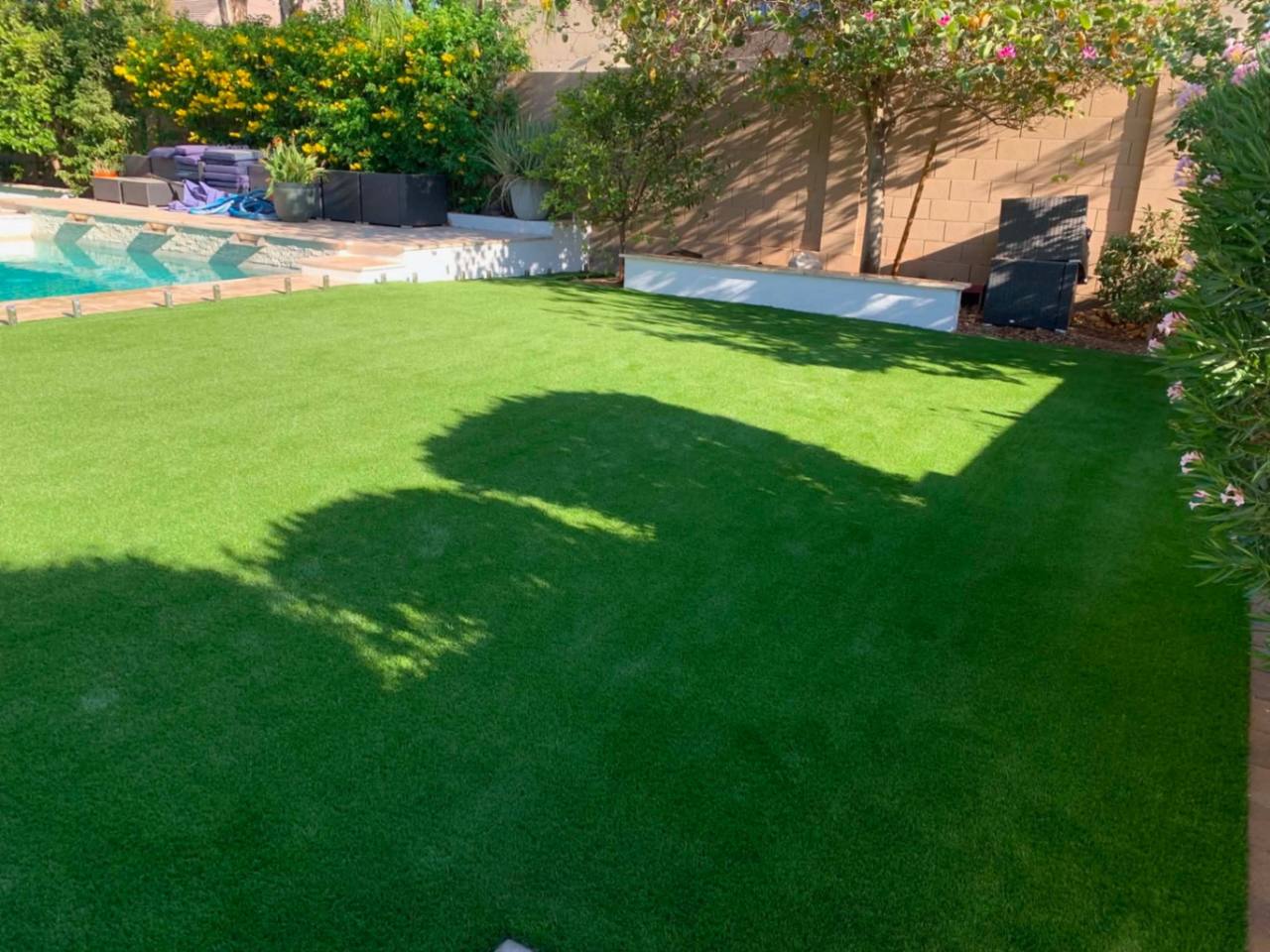 Mature pet-rated turf reading consistent through full sun and dappled tree shade.