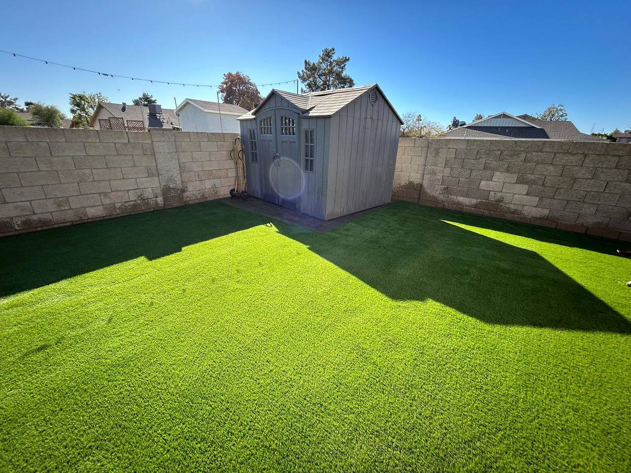 Pet-friendly turf lawn finished clean to the perimeter wall and backyard storage shed