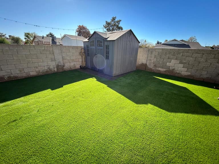 Low-maintenance dog yard finished in turf with a storage shed tucked into the back corner.