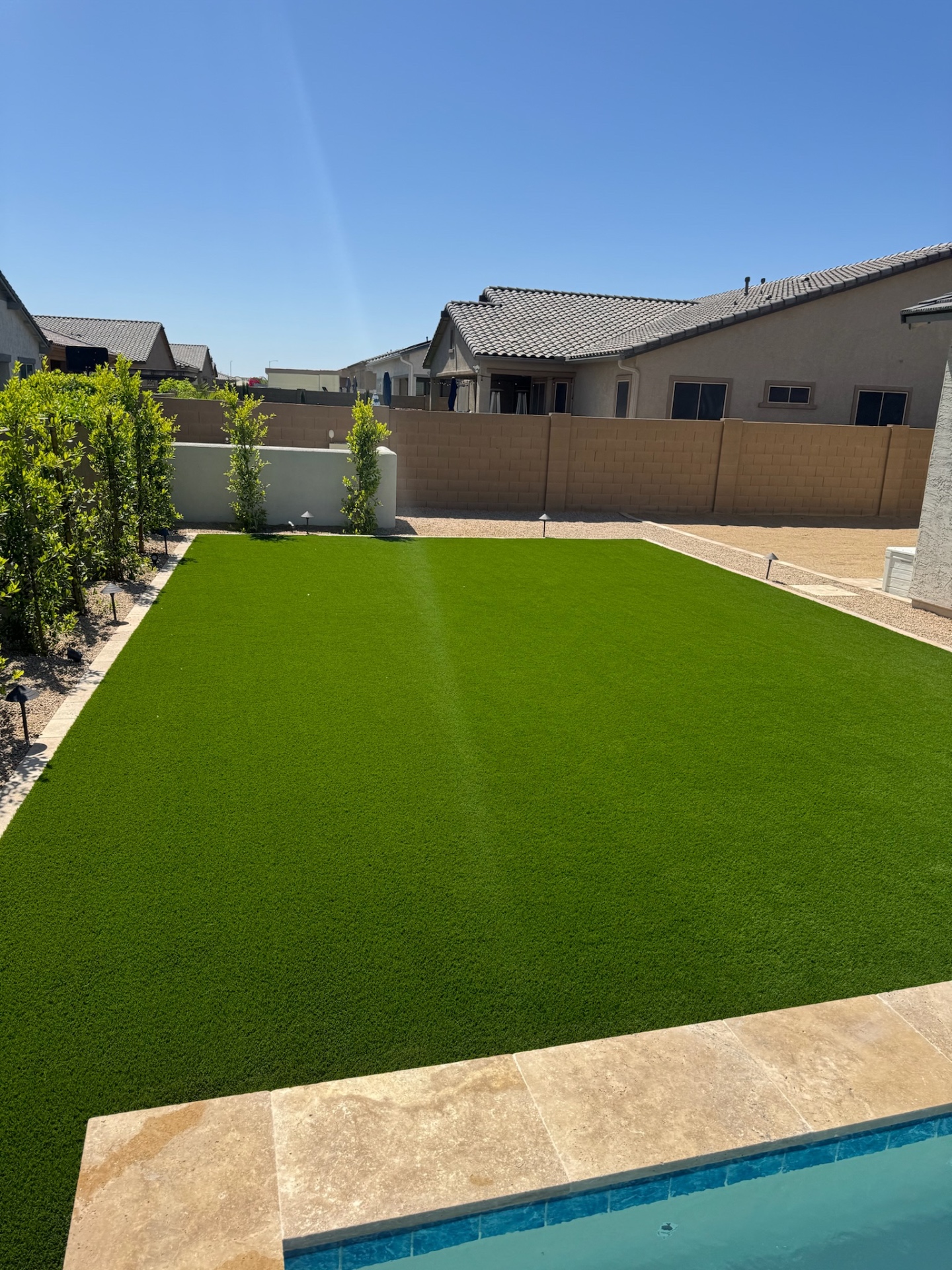 Peoria poolside artificial turf lawn with ficus privacy hedge and travertine paver border