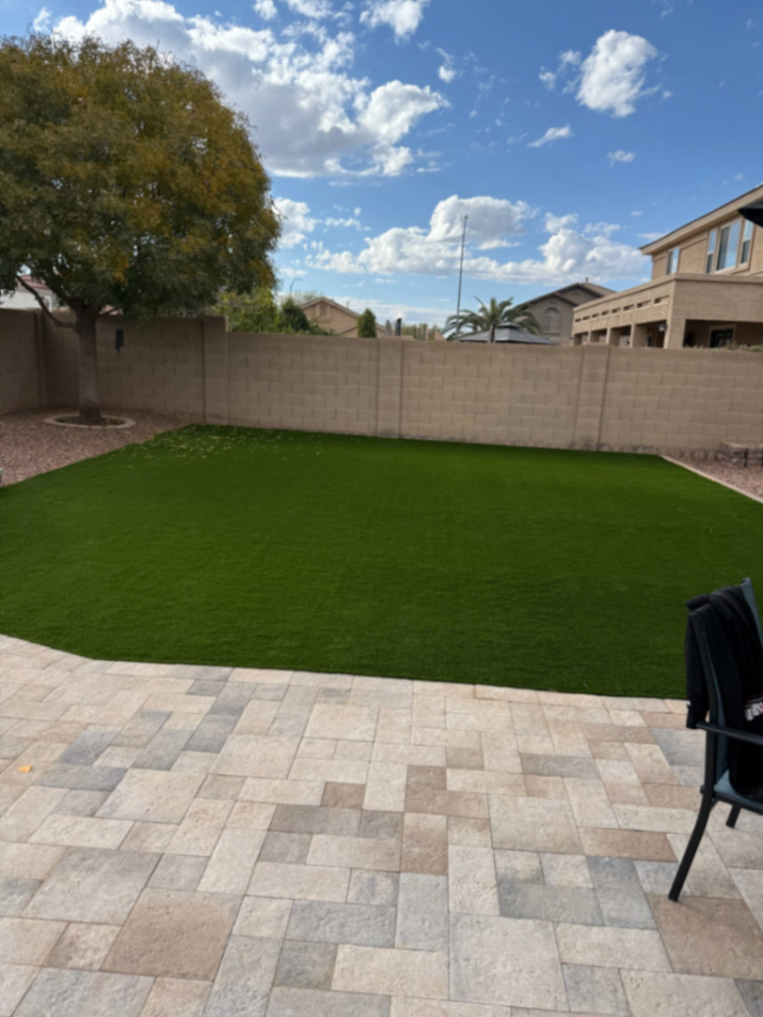 Thorn residence, Mesa AZ — wide turf lawn framed by mature shade tree and travertine paver patio.