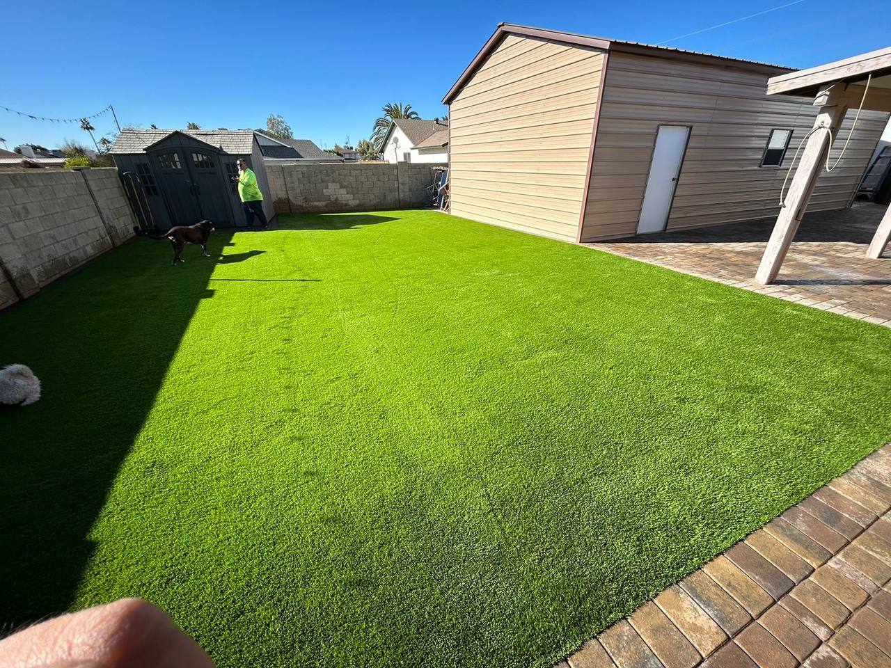 Pet-friendly turf lawn with tumbled paver border, sized for dogs to run between the house and shop.