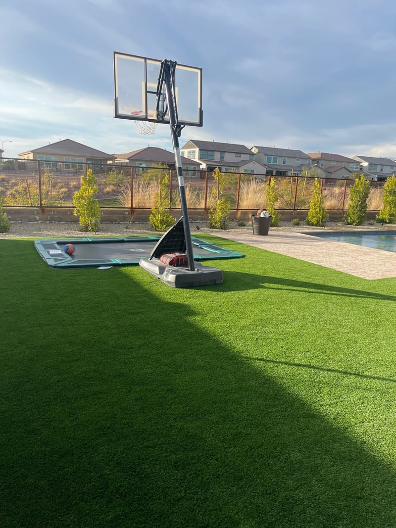 Peoria backyard artificial turf lawn with in-ground trampoline, portable basketball hoop and privacy hedge along iron view fence