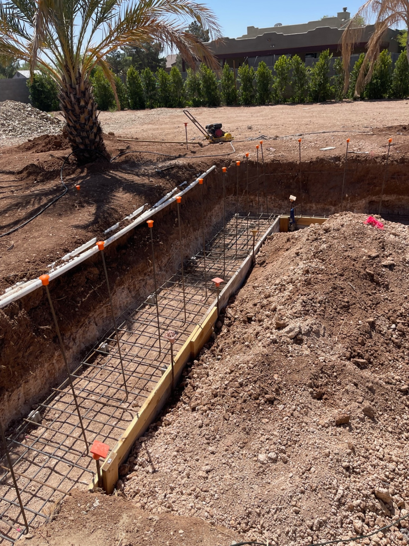 Long trench footing with rebar cage, orange safety caps, palms, and open dirt grade across the backyard