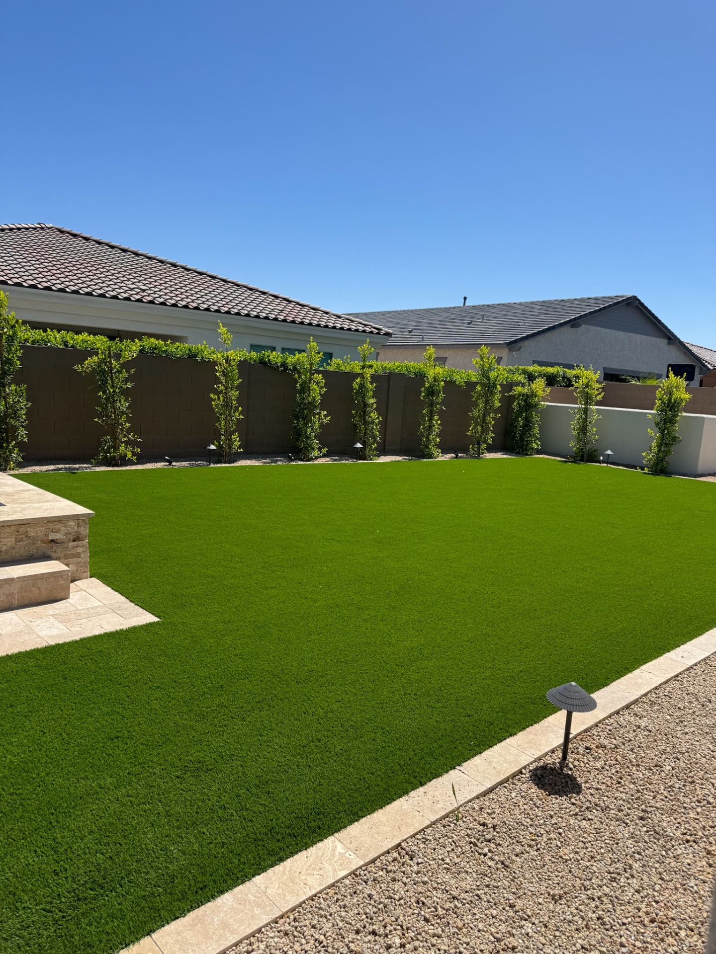Peoria backyard artificial turf lawn framed by ficus privacy hedge and travertine paver step-down