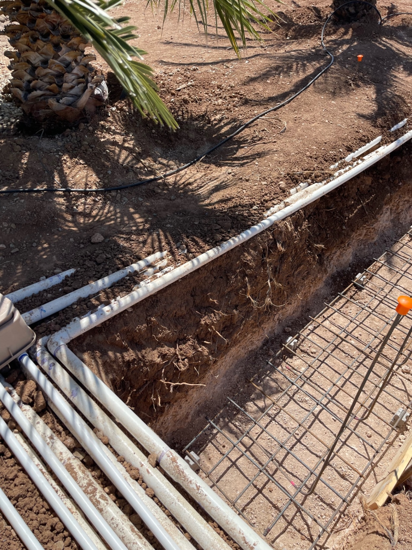 Corner of a footing trench with bundled white PVC sleeves and rebar cage beside a palm tree root zone