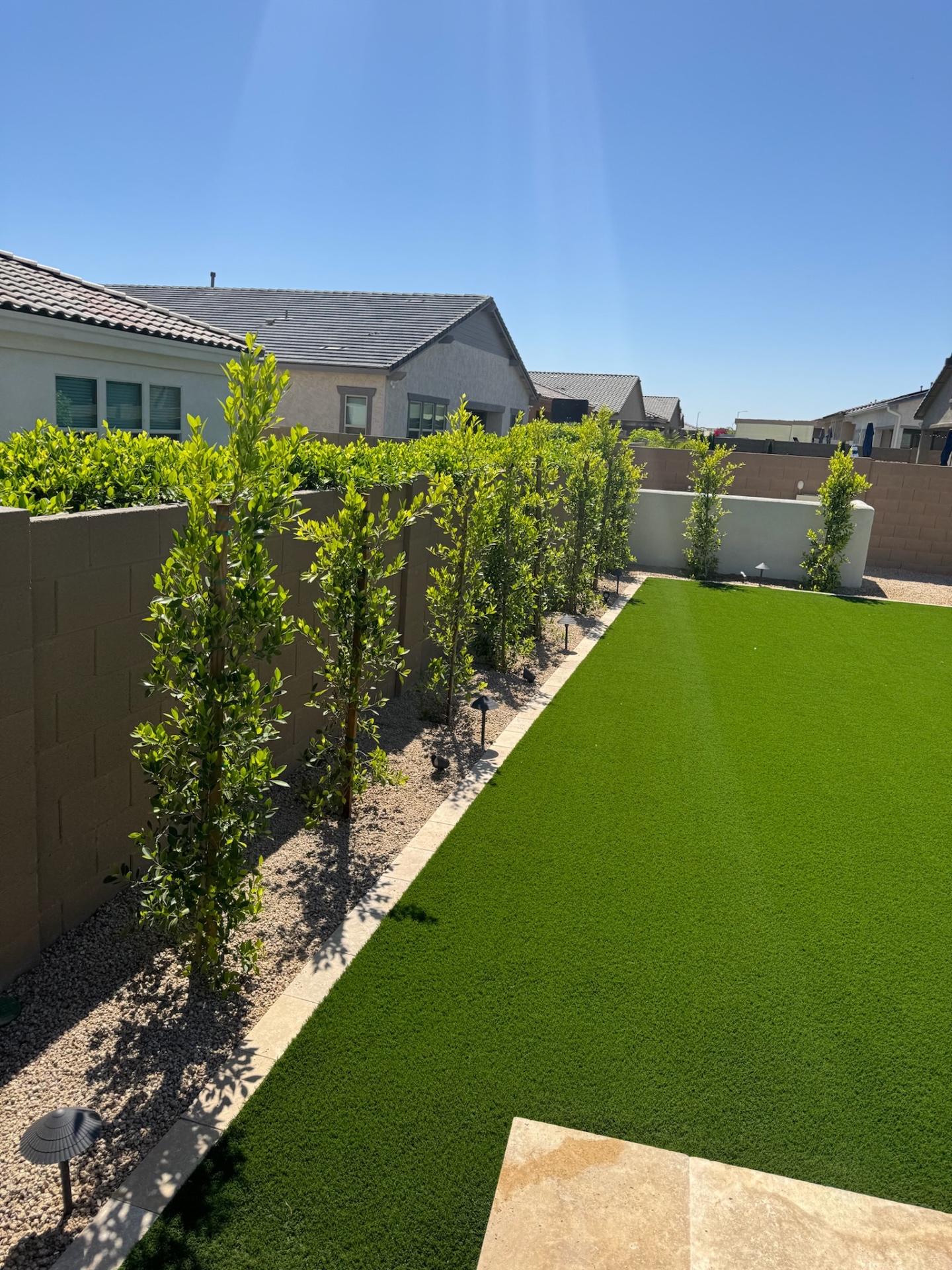 Peoria side-yard artificial turf runway with ficus hedge, paver border and landscape lighting