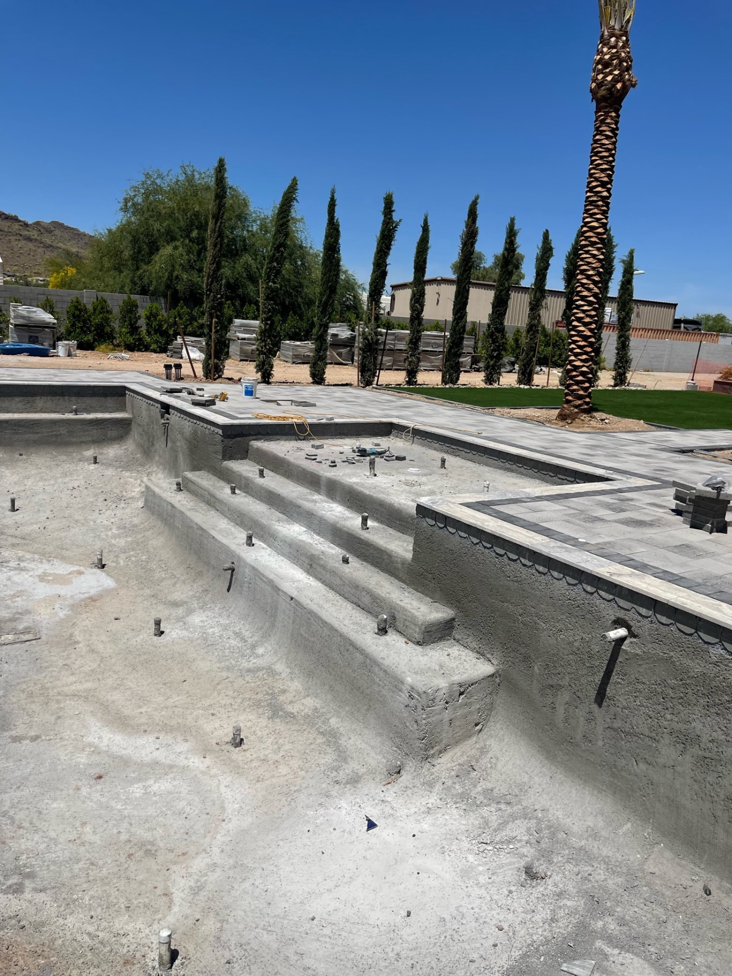 Pool shell with finished paver deck, dark border banding, mature palms, and turf already installed around the backyard
