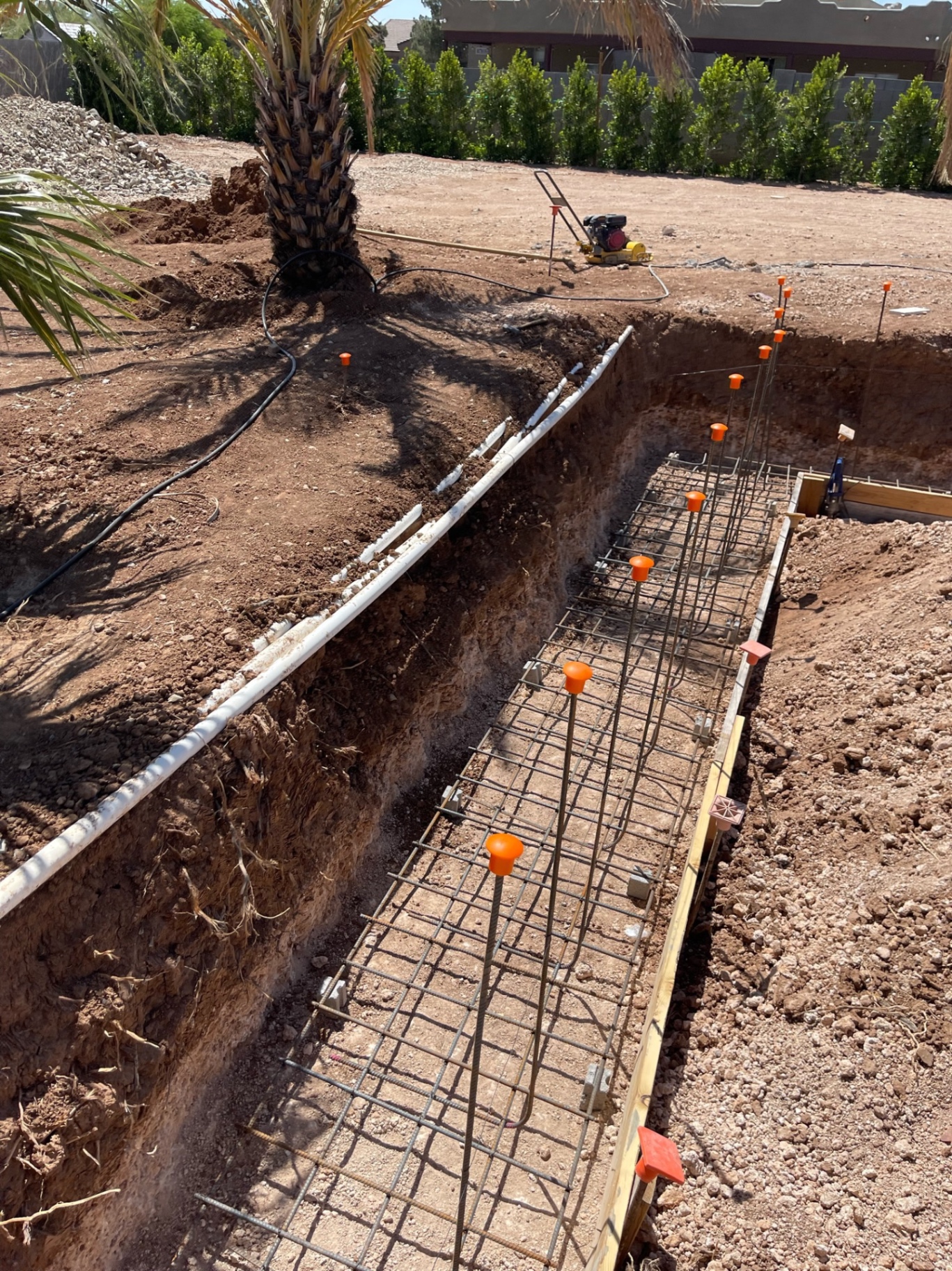 Rebar footing trench with palms, soil berms, and compacted backyard grade in the background
