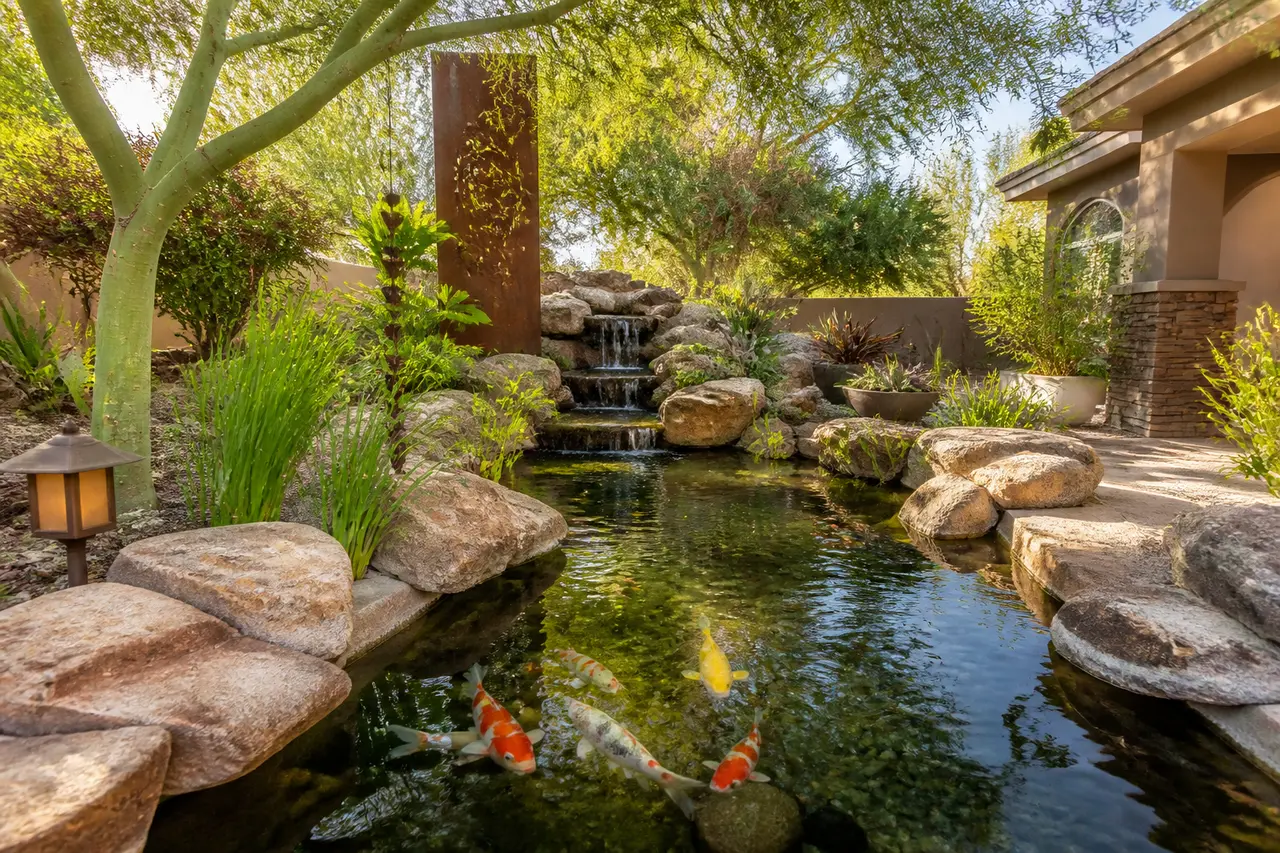 Koi Pond with Overflow — Living koi pond with crystal-clear bog filtration. by AE Outdoor Living