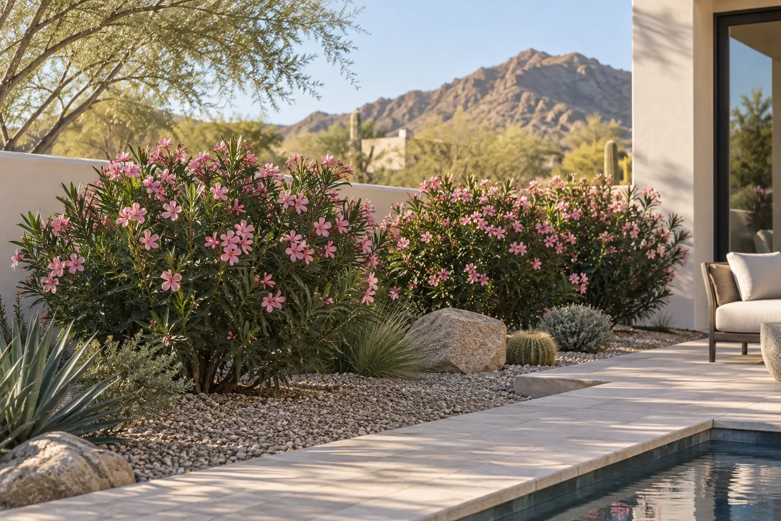 AE Outdoor Living AI-assisted landscape visualization of dwarf oleander in a Phoenix garden concept; not documentary botanical evidence or a completed client project.